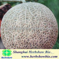 Sweet Melon seeds Hamigua F1 hybrid for sowing